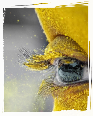 Wimpernextensions für Studenten